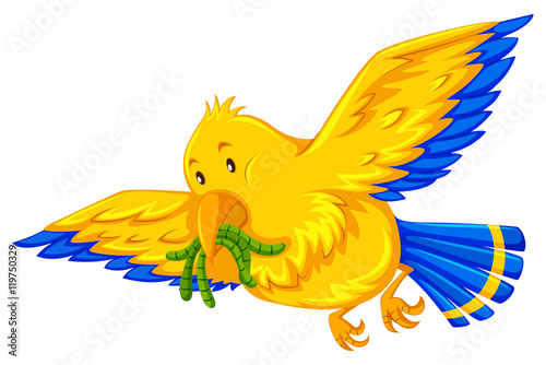 Yellow bird eating little worms © blueringmedia