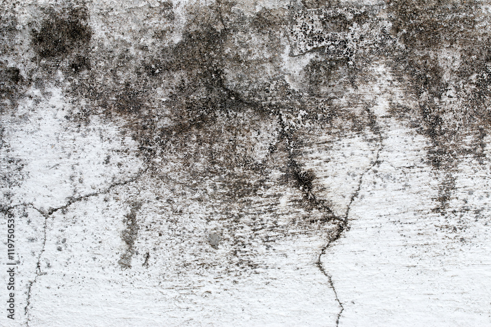 Obraz premium white concrete wall texture