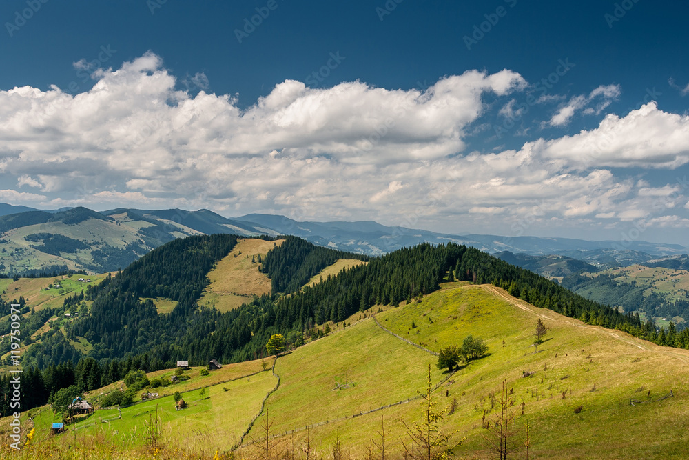 Beautiful mountain landscape. Blue sky, green meadows. - obrazy, fototapety, plakaty 