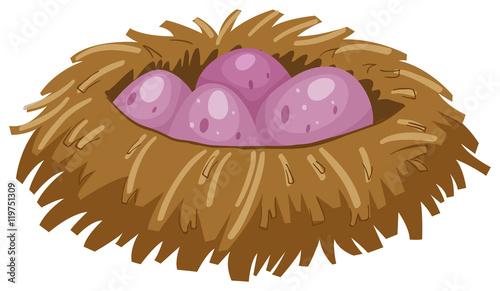 Four purple eggs in the nest