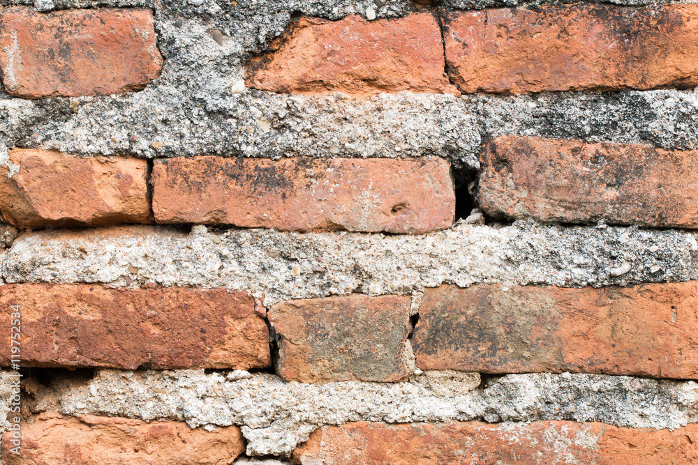 Obraz premium Moldy brick wall background
