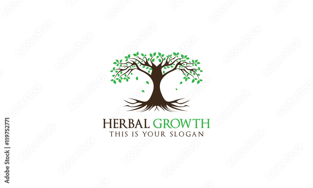 Obraz premium Creative Tree Logo