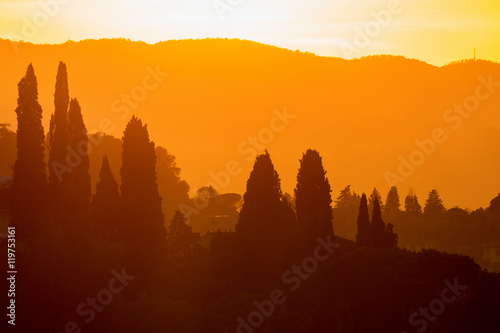 Sunset with Cypress trees in backlight
