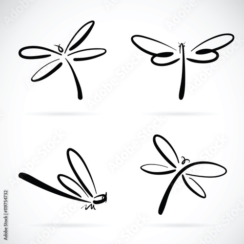 Vector group of dragonfly sketch on white background. insects. photo
