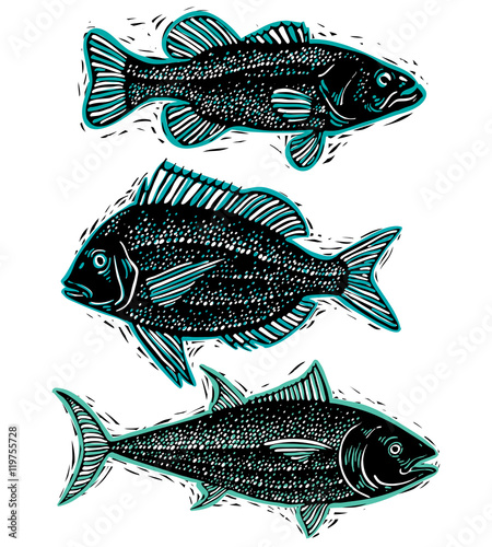 Set of vector drawn fishes,...