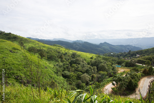 Doi Pha Tang ,Morning fog,Chiang Rai.