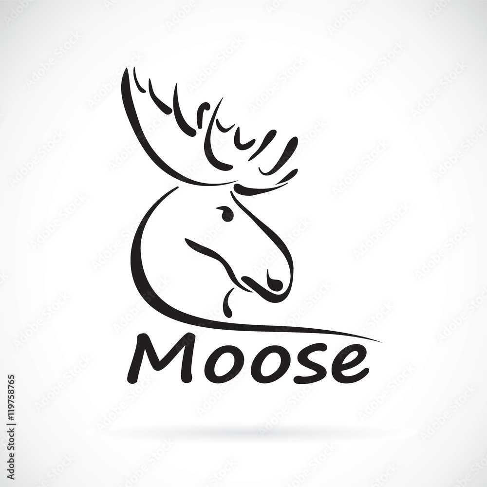Fototapeta premium Vector of moose deer head on a white background