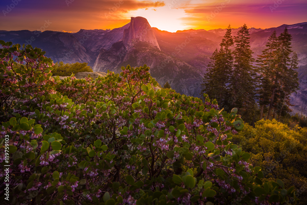 Plakat Park Narodowy Yosemite Sunrise Lodowiec Punkt