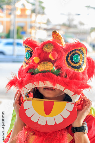 Chinese lion photo