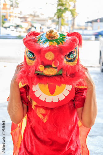 Chinese lion photo