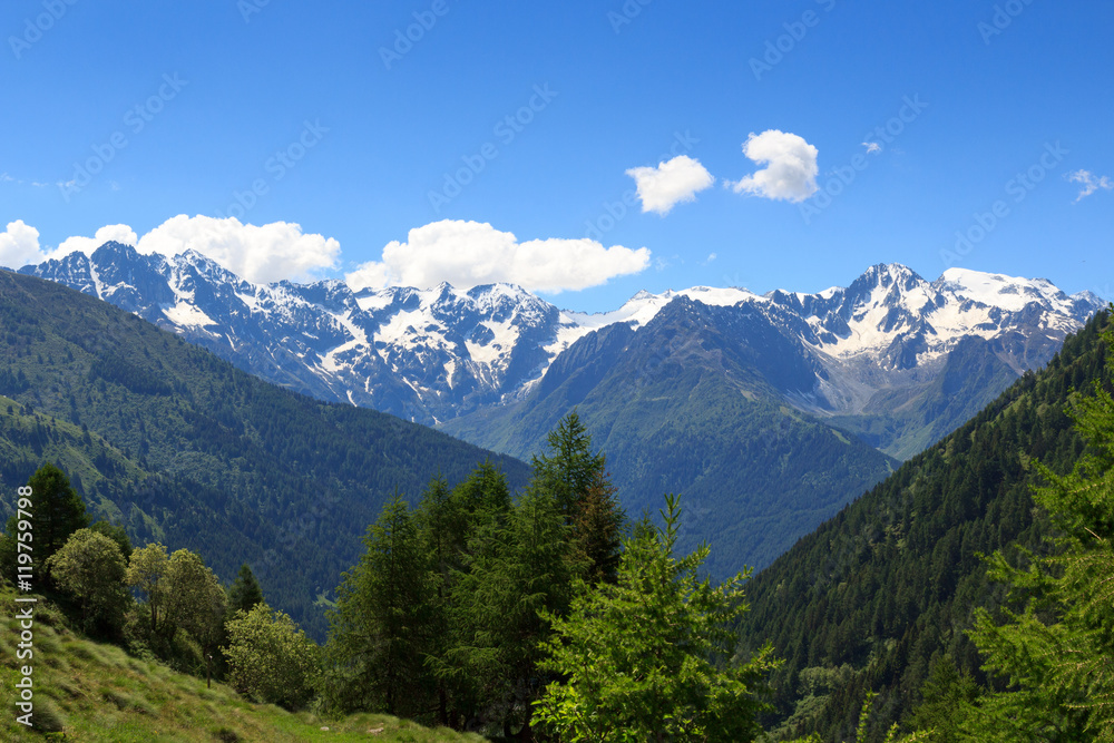Fototapeta premium Panorama view alpine mountains Adamello Alps, Italy