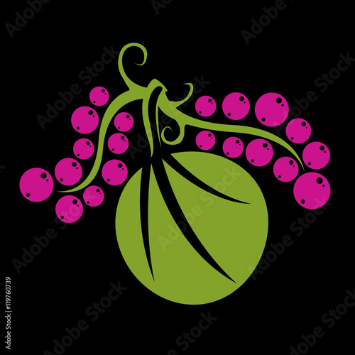 Single vector flat green leaf with purple seeds. Herbal and bota