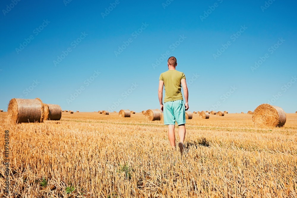 Cornfield after harvest Cornfield after harvest
