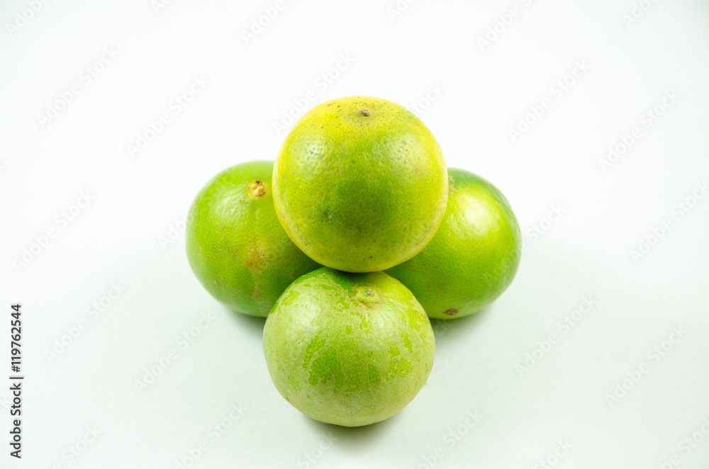 Fresh Lime Fresh Lime