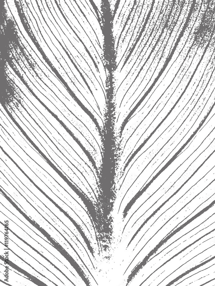 Obraz premium Grunge white and black background, texture.