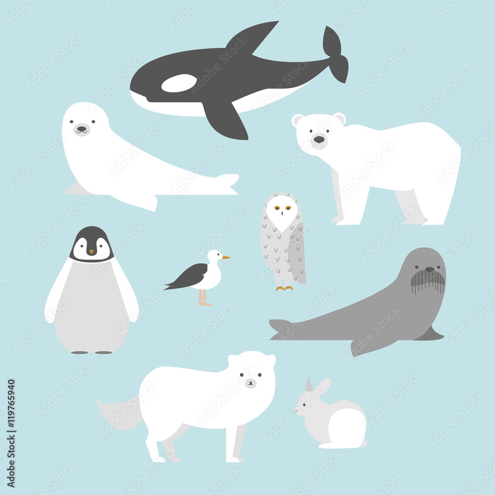 Arctic animals set Arctic animals set