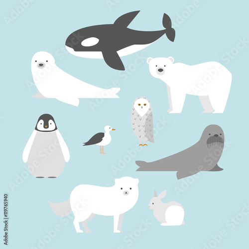 Arctic animals set