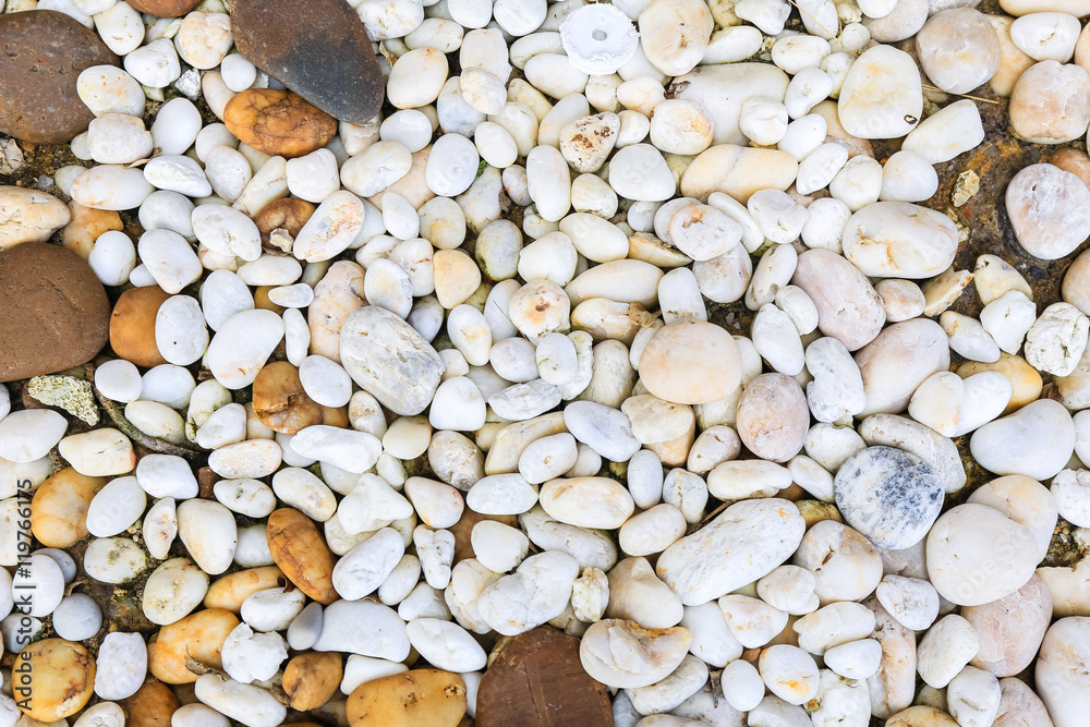 white pebbles background texture white pebbles background texture