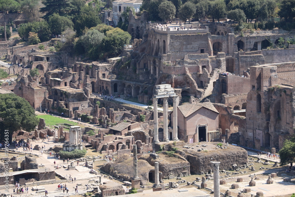 Fototapeta premium Vue du Forum antique de Rome