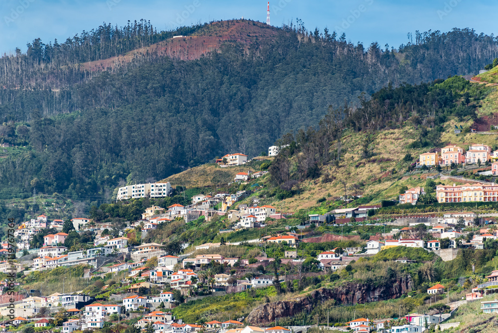 Panoramic view of tranquil hillside on Madeira Island Portugal. Landscape view, dotted with tropical foliage and Mediterranean style buildings on a bright summer day, image for travel business concept
