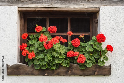 Fototapeta Naklejka Na Ścianę i Meble -  Fenster mit roten Pelargonien