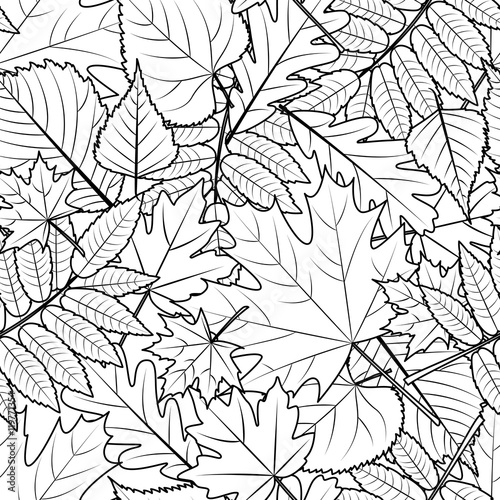 Vector autumn leaves seamless pattern. Black and white background with outline hand drawn leaves. Design for fabric, textile print, wrapping paper or coloring book.