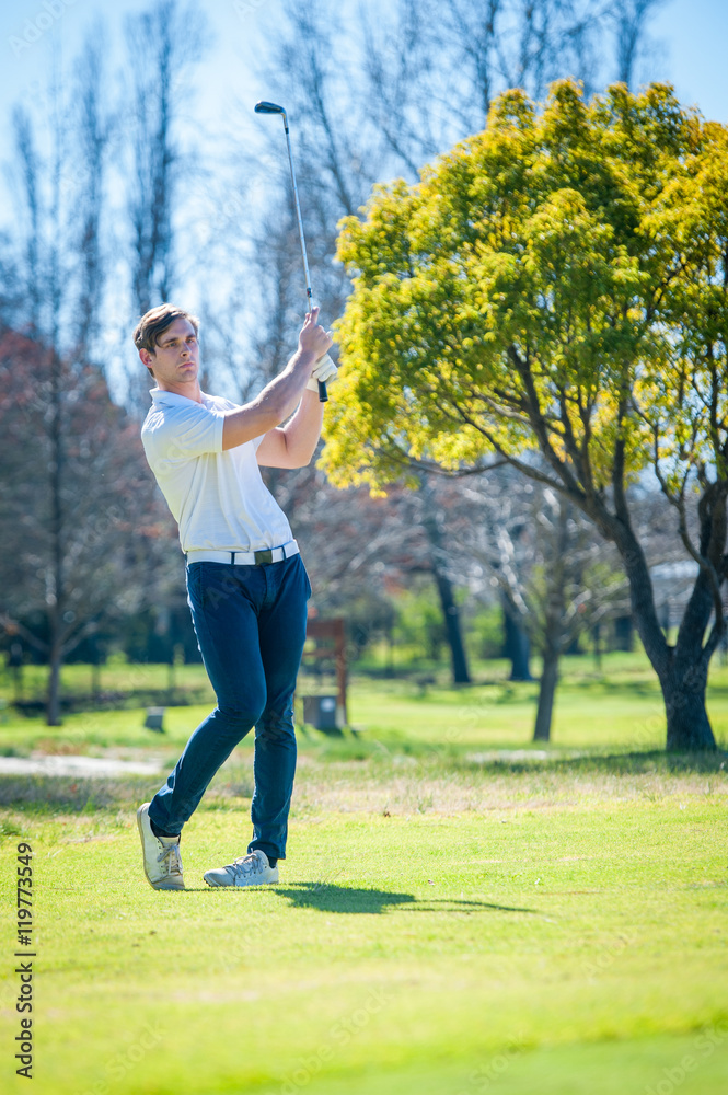 golfer playing a chip shot onto the green golfer playing a chip shot onto the green