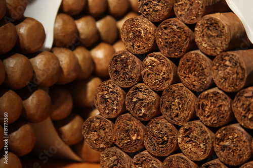 cigars bundles