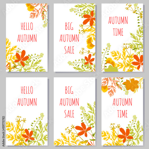 Autumn grass. Vector background. Invitation, greeting card, banner