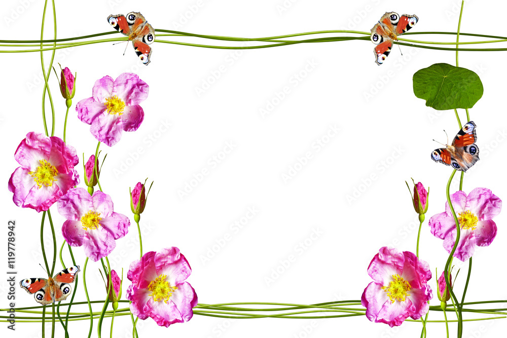 The buds of flowers roses. Holiday card The buds of flowers roses. Holiday card