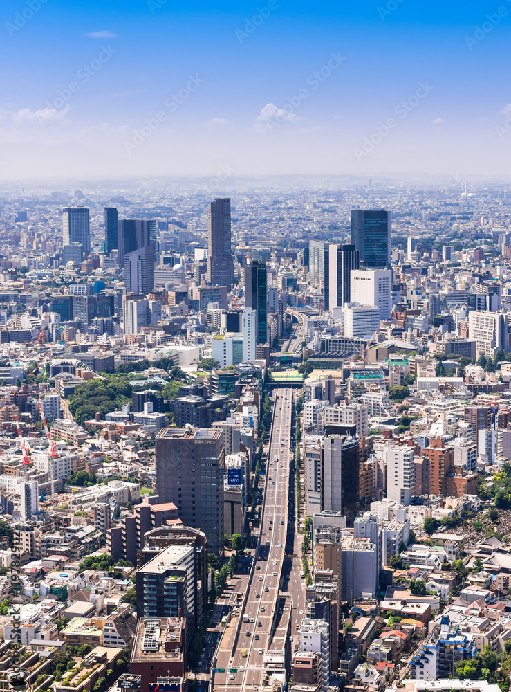 Obraz premium 首都高速と東京の町並み