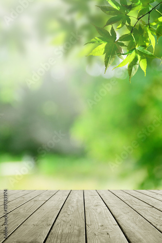 Fresh nature background and empty wooden.