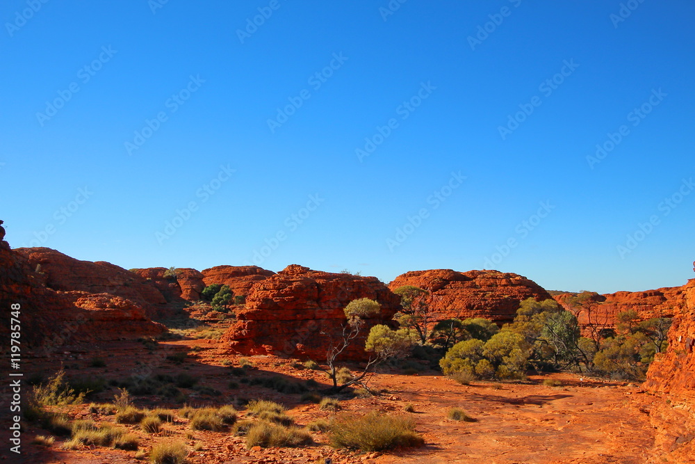 Fototapeta premium Kings Canyon, Australia