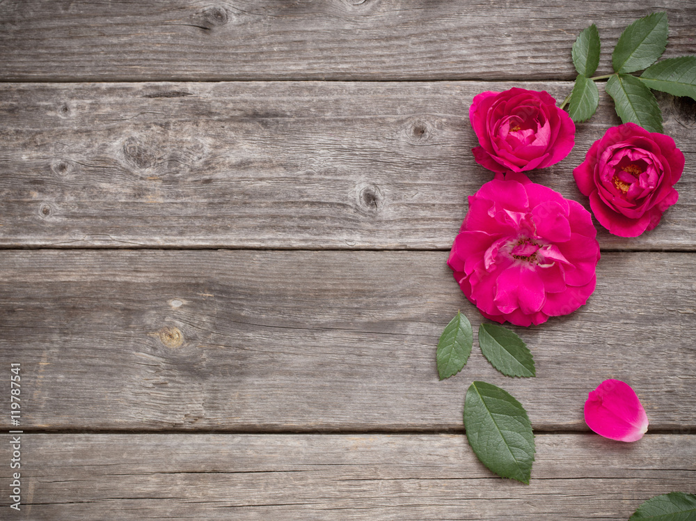 red rose on wooden background red rose on wooden background