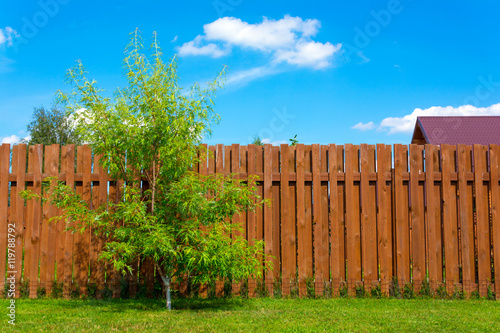Wooden fence in a country house Fototapet