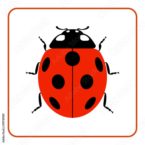 Ladybug small icon. Red lady bug sign, isolated on white background. Wildlife animal design. Cute colorful ladybird. Insect cartoon beetle. Symbol of nature, spring, summer. Vector illustration © alona_s