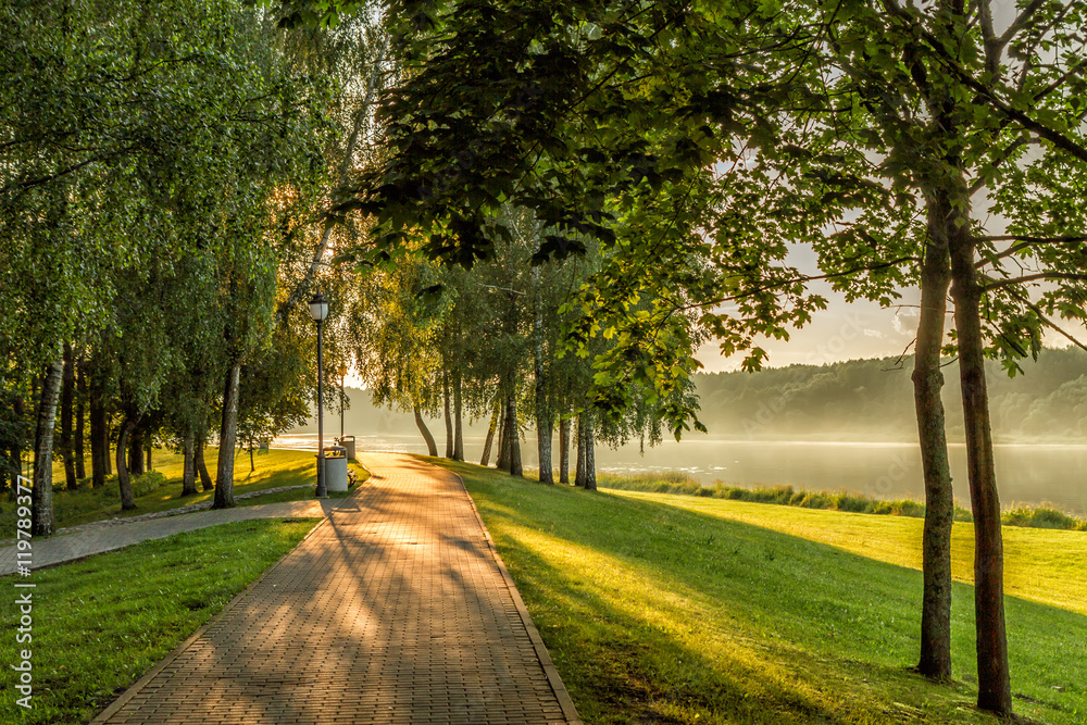 Fototapeta premium Trees by the river