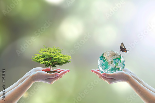 World environment day ESG Environmental Social Corporate Governance concept with tree care planting and CSR green earth on volunteer's hands for SDG sustainable development goals.
