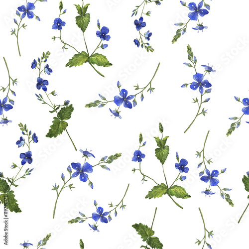 Seamless floral forget-me-not pattern painted by watercolor. Hand drawn illustration.