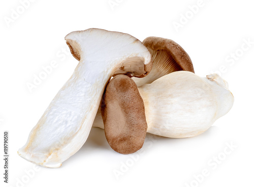 King Oyster mushroom isolated on the white background