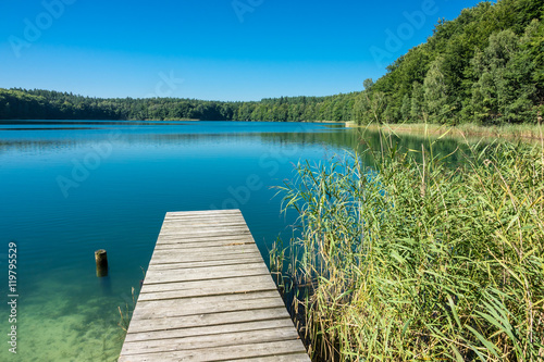 Landschaft am Trünnensee an der Mecklenburger Seenplatte