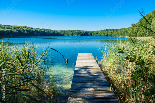 Fototapeta Krajobraz nad jeziorem Trünnensee na Pojezierzu Meklemburskim