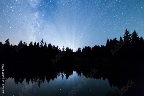 Lake pine trees silhouette Milky Way