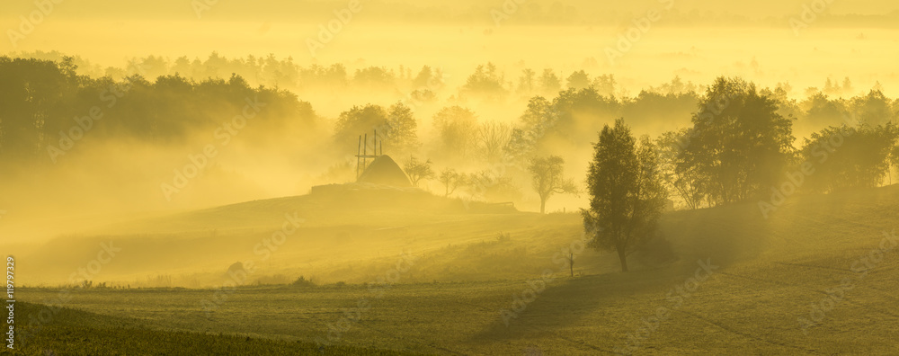 Obraz na płótnie Piękny,mglisty wschód słońca nad wiejską łąką
 w salonie