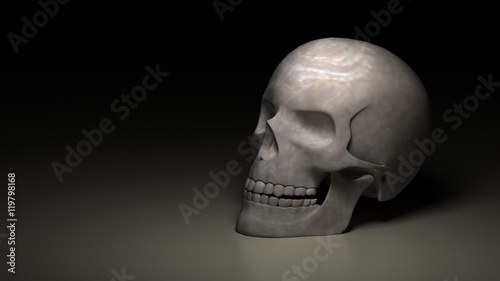 Human skull background. 3d render