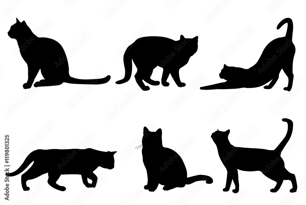 cats silhouettes - vector