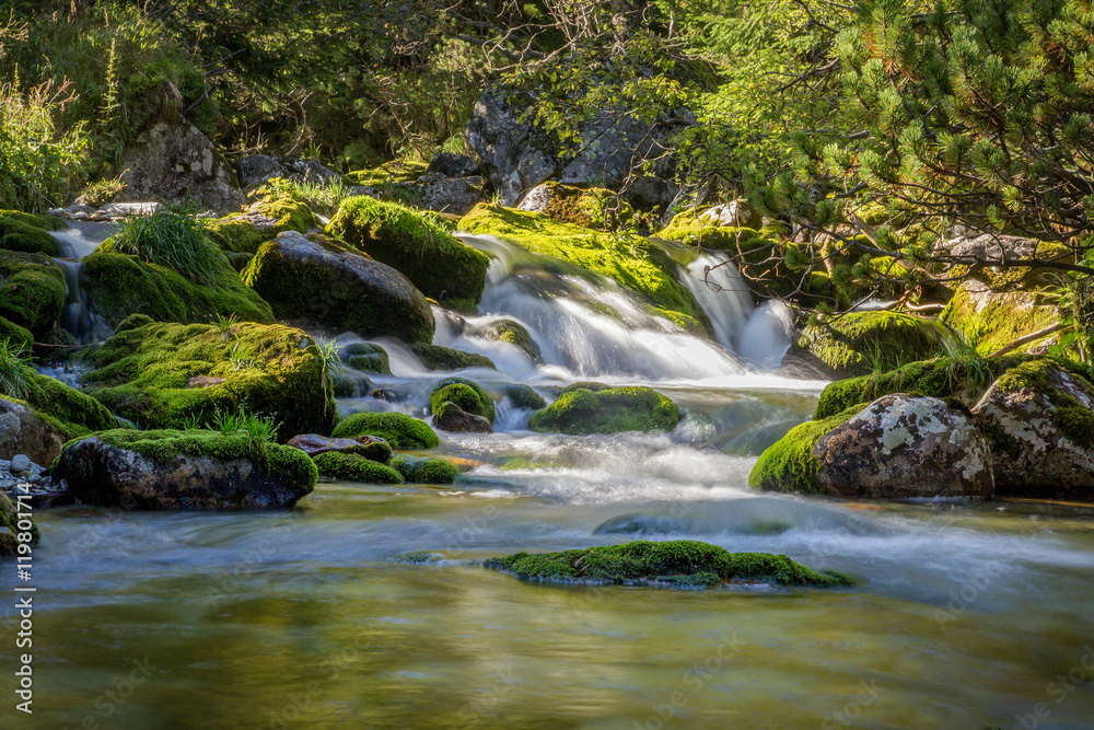 waterfall cascades in mossy green forest waterfall cascades in mossy green forest