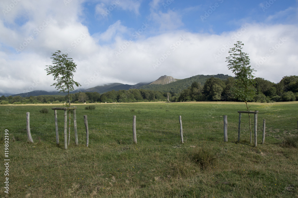 Fototapeta premium Camino de Santiago from Roncesvalles to Zubiri