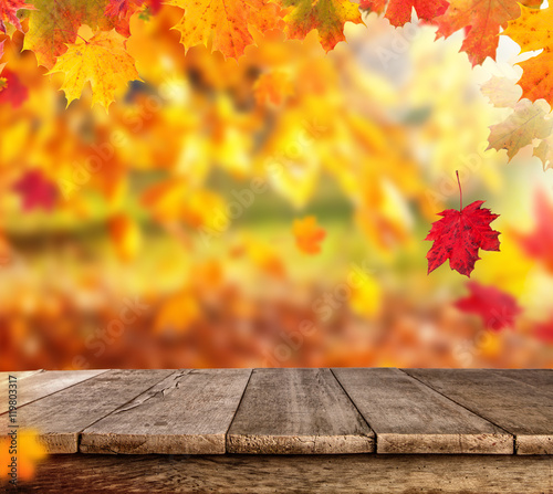 Autumn background with empty planks