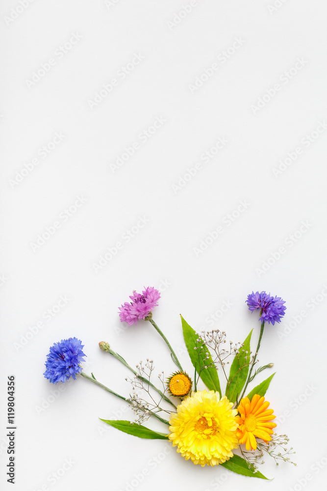 Frame with flowers on white background. Top view, flat lay